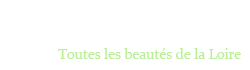 stopcarnet.fr